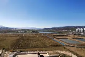 承包地、宅基地自愿永久退出，怎么选都躲不掉心中的痛图片