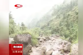 泸州：立行立改，自然保护区风景如画视频封面
