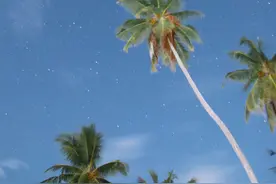 把爱深埋在心里，也不愿随意说出口的星座，会看准时机再行动图片