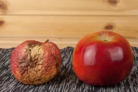 跟时间赛跑的肾病，控制得好，能活数十年，全看你怎么做图片
