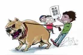 江苏沭阳：狗比人命贵？养犬引发纠纷应如何担责？图片