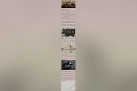 一群病怏怏的字——从“瘟疫”造字本义谈起图片