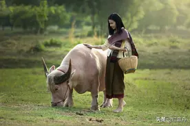 故事：哑女阿秀（小小说）图片