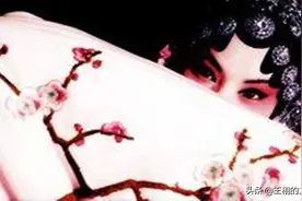 白先勇小说评介｜《游园惊梦》：一曲伤春的咏叹图片