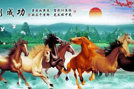 马云马化腾马明哲马蔚华马克思马斯克，姓马的真厉害图片