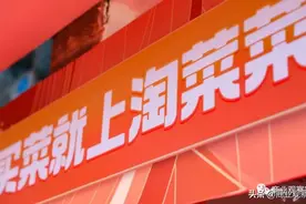 阿里“集权”做供给，淘菜菜能解决什么问题？图片
