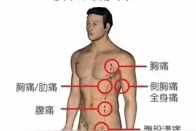 五脏六腑疼痛区域高清图，疾病来了该按哪个经络，一看就懂图片