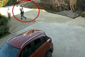 愤怒！六旬老人被精神病患者砸死，难道精神病就不能提前查出来吗图片