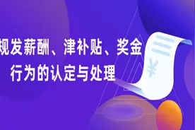 违规发薪酬、津补贴、奖金行为的认定与处理图片