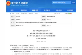 重庆新机场又传来新消息图片