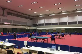 国乒功勋教练现身！执教外协跟爱徒马琳成对手，最想看樊振东打球图片
