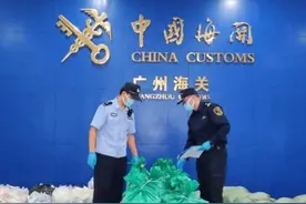 广州海关查获189只生物试剂，检出含有传染病病毒的人体血液样本图片