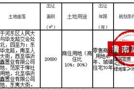 300万/亩起拍！河东一优质地块出让，紧邻东城实验小学、幼儿园图片