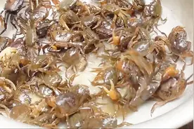 鲜活的小螃蟹该怎么吃？直接捣碎做成蟹酱？看完制作过程你敢吃吗