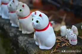 东京高级住宅区很多，但挨着招福猫老家的真不多图片