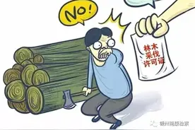 以案释法丨自家承包的林场真的可以随意砍伐吗？图片