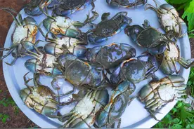 缅甸家常午饭，一顿抵我1月伙食费，网友：大型“暴殄天物”现场图片