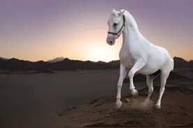 白马湖的传说图片