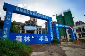 海南“最复杂烂尾楼”公司起诉三亚市政府，原开发商被拘捕后海南东北两公司争夺楼盘，染指官员皆落马图片