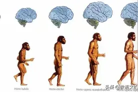人类老祖回忆录：兵分三路，占领中国图片