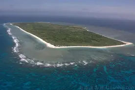 我国唯一有“野牛”群的海岛，西沙东岛野牛从何而来？图片
