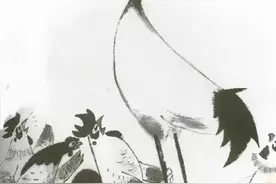 关于“鹤立鸡群”图片