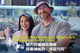 “海”光瞬间丨来中国最大的珊瑚资源库 探索神秘的“诺亚方舟”图片