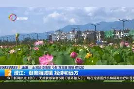 澄江：逛美丽城镇 找诗和远方图片