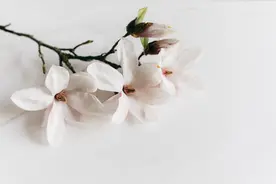 别急，该是你的，总会到来图片