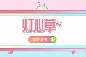 小孩心火盛吃什么？灯心草图片