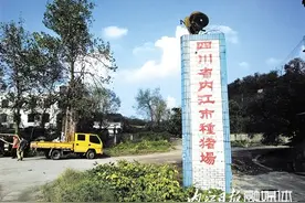 土地资源有效盘活：内江三大国有农场焕发新活力图片