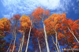 到四川巴中市旅游必去的10个景点，你去过几个？最喜欢哪个景点？图片