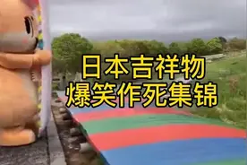 笑死人不偿命，日本整人游戏大赏图片