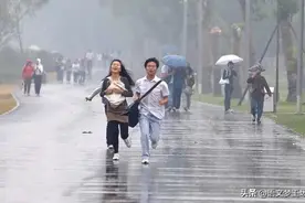 2021年中考作文终极预测题及范文：在风雨中努力奔跑图片