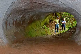 巴西发现13000年前隧道，科学家确认：建造者不是人类图片