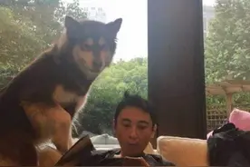 王思聪微博晒宠物狗狗食物，网友吐槽：看看王健林吃的什么图片