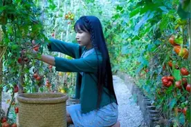 看看李子柒的“豪宅”，里面藏了多少宝贝，怪不得外国人都羡慕图片