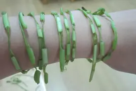 看看这些农村时候小朋友玩的东西，满满的回忆图片