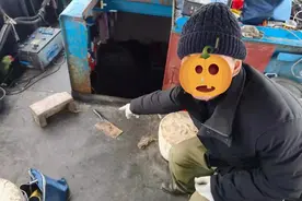 钓到这些鱼不放有坐牢风险，每年都有人被抓，附最新名录图片