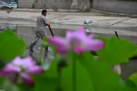水被抽干的西安丰庆公园长这样，湖底全部露出来，你肯定没见过图片