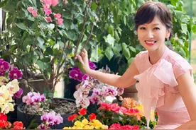 67岁的赵雅芝体重常年90斤，看完她的三餐，网友：难怪身材好图片