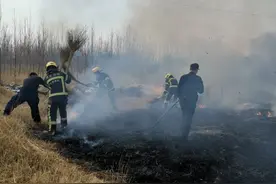沧州：荒草起火直逼附近房屋 巡警消防联手消灭火情图片