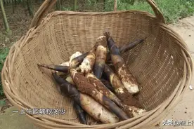 这个地的春笋在菜市场火了！白嫩鲜美又可口，谁能忍得住呢？图片