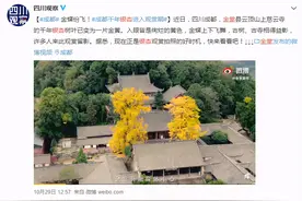 因为它，成都金堂这个地方一夜火了！图片