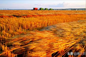 「知青往事」我的北大荒图片
