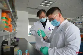 掉了的牙有望再长出来！这个实验室已经取得初步成功！图片