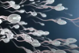 经常喝豆浆的男人，精子更少？揭开豆类被封神的原因图片