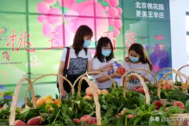 比甜度赛品质拼诚信  “水蜜桃之乡”平谷王辛庄镇精品大桃供应市场图片