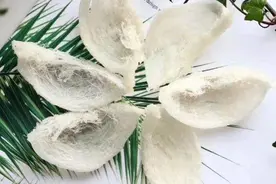 买来的干燕窝不挑毛？别怪我没告诉你这些！看完“毛骨悚然”图片