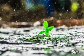 练个升阳布雨的太极功法，重启身体圆运动，增强肺胃功能图片